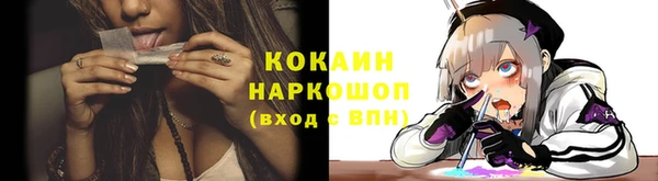 гидра Верея