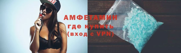 гидра Верея