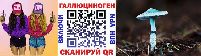 Купить где  Полярный  Псилоцибиновые грибы Psilocybe 